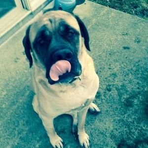 Meet your Posher, Scott